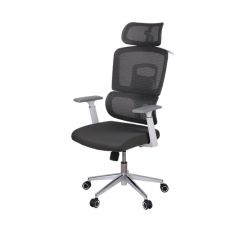     WT R-SR  (LVB-306 Grey OS-3006 Grey)