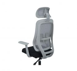 ������ ����� ���� HR ANF ����� (�����/������) - �������� 13