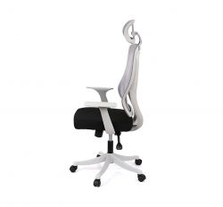 ������ ����� ���� HR ANF ����� (�����/������) - �������� 3