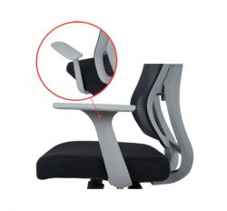 ������ ����� ���� HR ANF ����� (�����/������) - �������� 11