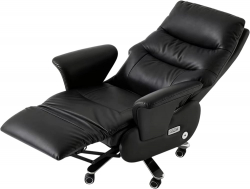 ������ ����� ������ (���� LC-A Black) - �������� 2