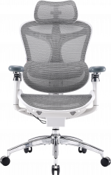 ����� ������ Sihoo DORO C300 Pro Mesh White