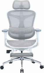 ����� ������ � ��������� ��� ��� Sihoo DORO C300L Mesh White with footrest