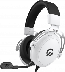 ���������� ������ ��������� GamePro Asgard Skald (HS850W)