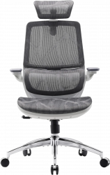 ����� ������ Sihoo M59AS Mesh Gray