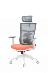 ������ ������� OfficePro Balance OC550-W-DG-OR