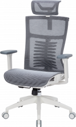   Officepro Balance OC620-W-DG-DG