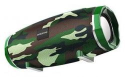 ������� ���������� 2.0 Borofone BR3, Khaki, 2x5B, MicroSD, FM radio, �������� �� �����������, 1200mAh