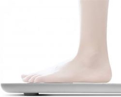   Xiaomi OVICX (XQIAO) Body Fat Scale L1 White -  2
