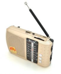 Радиоприемник GOLON RXICF8BT, LED, 3W, AM/FM радио, входы microSD, USB, Bluetooth, питание от 220+АКБ, корпус пластмасс, BOX