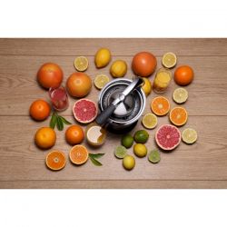 Соковижималка Gorenje CJ 100 HE (GS-401F) (673738) - Картинка 2