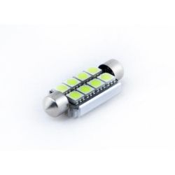  Brees T10x42 8SMD Can