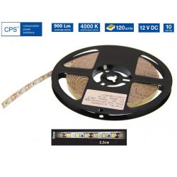 ����� ������������ CSP CLS-12D120K40 12B 10�� 4000K (10�)