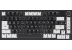 ���������� ��������� ��������� GamePro Asgard Valhalla Pro (MK160B-D-Pro) 75% Rainy switches - �������� 2