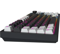 ���������� ��������� ��������� GamePro Asgard Valhalla Pro (MK160B-D-Pro) 75% Rainy switches - �������� 5