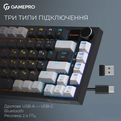 ���������� ��������� ��������� GamePro Asgard Valhalla Pro (MK160B-D-Pro) 75% Rainy switches - �������� 11
