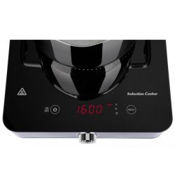 ���������� ������������ ����� Ardesto ICS-B116 - �������� 3