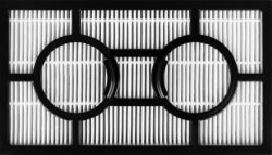  ECG VP BS6120 Animal -  17