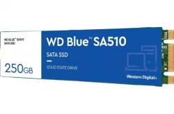 ������������ ����������� SSD 250Gb, Western Digital Blue SA510, SATA, M.2 2280, 3D TLC, 555/520 ��/� (WDS250G3B0B) - �������� 2