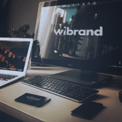 SSD накопитель Wibrand Caiman 256GB SATA III 256 Gb 2.5" Bulk (WI2.5SSD/CA256GB - Картинка 2